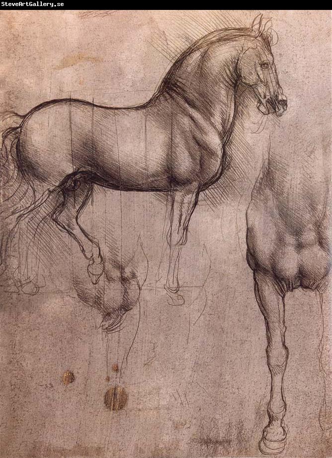 LEONARDO da Vinci Studies of horses